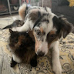 Meet your Posher, Brandy